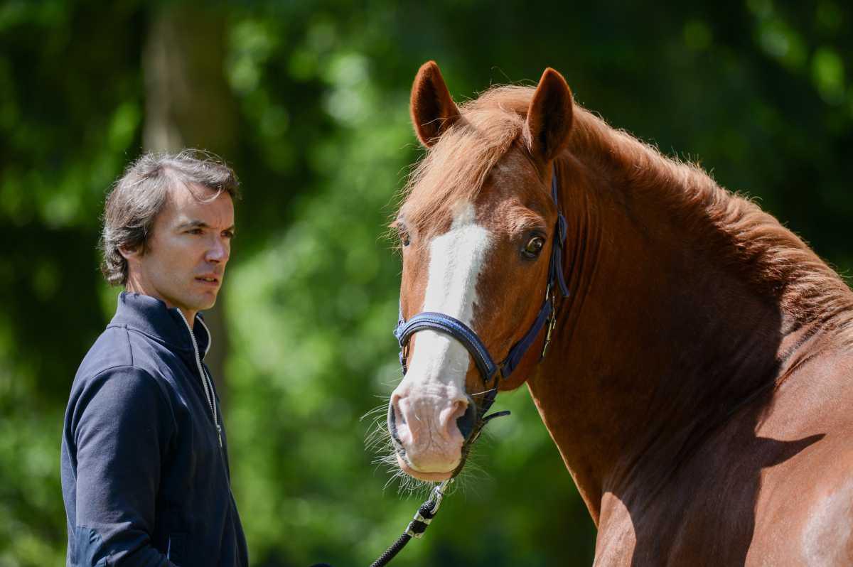 Clément Hervieu-Léger : « Des poneys équilibrés tant physiquement que mentalement »