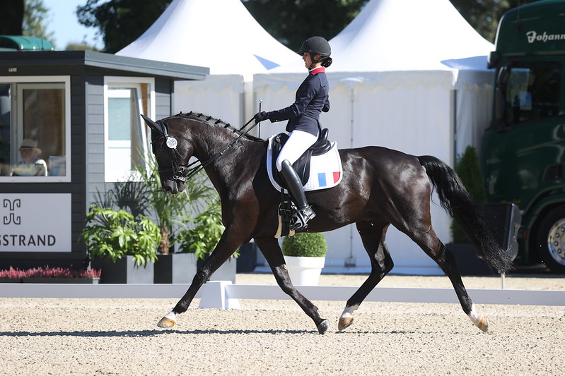 Swing Royal*IFCE et Chiara Zenati, ici lors des championnats d'Europe de Riesenbeck